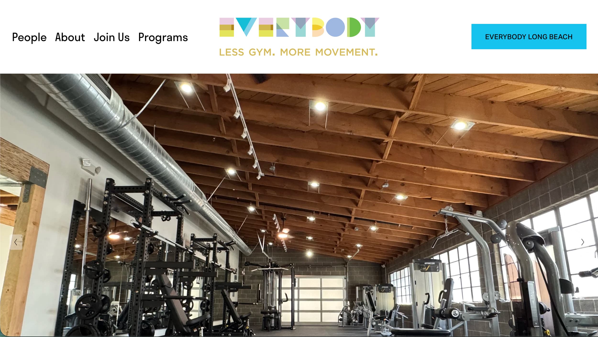 EVERYBODY gym website design example
