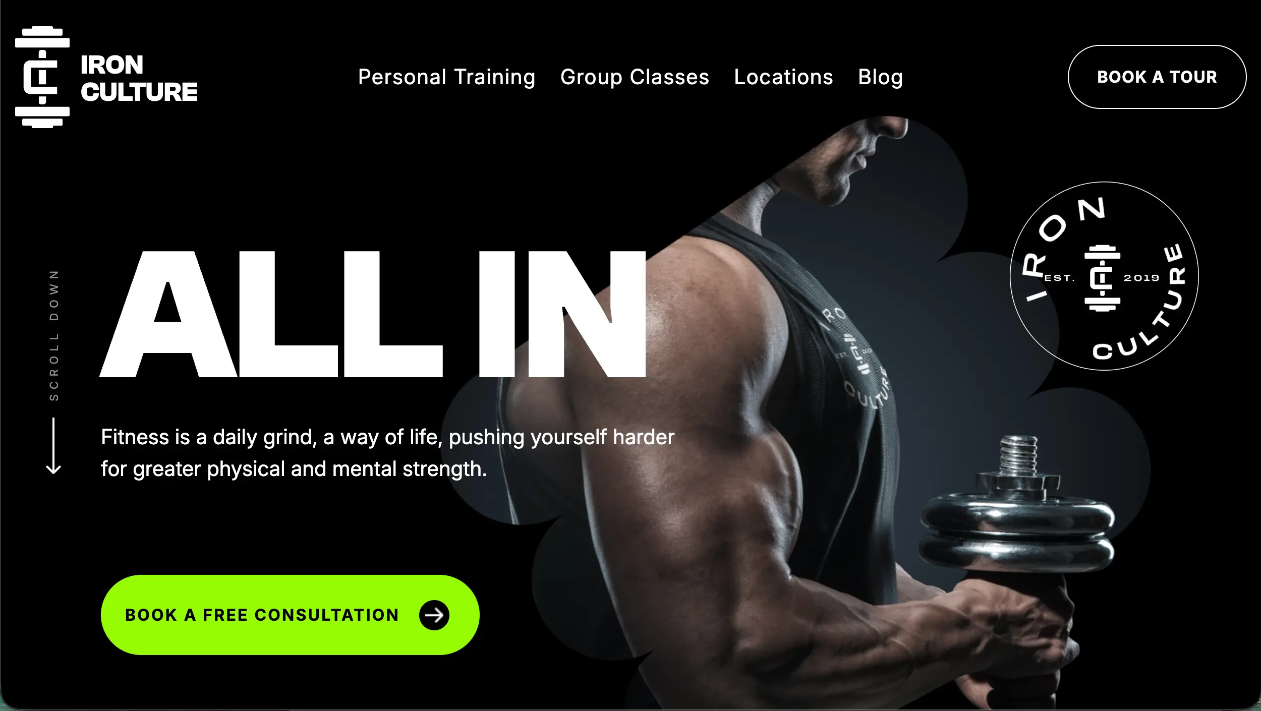 Iron Culture gym website design example