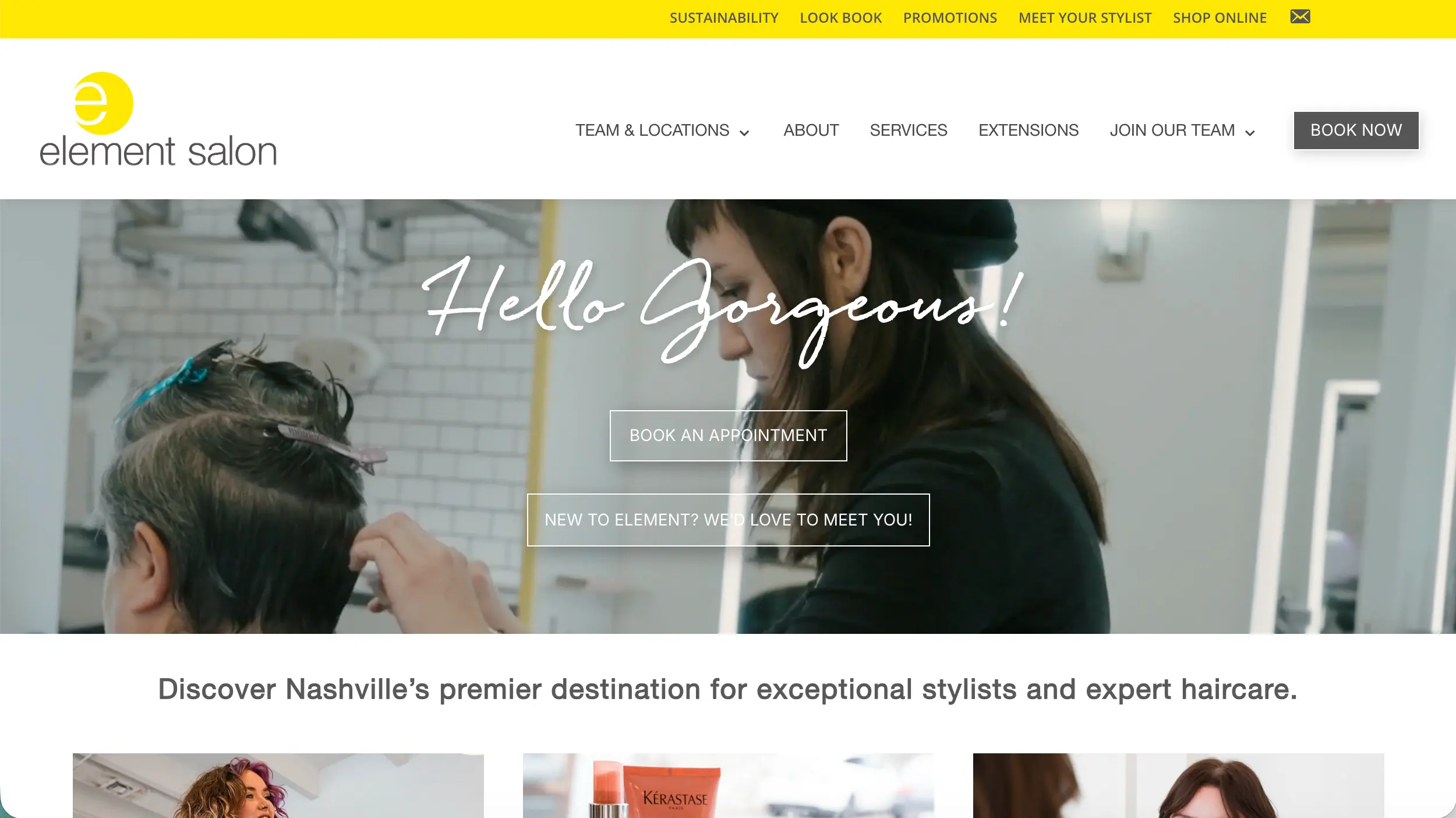 Element Salon website homepage example